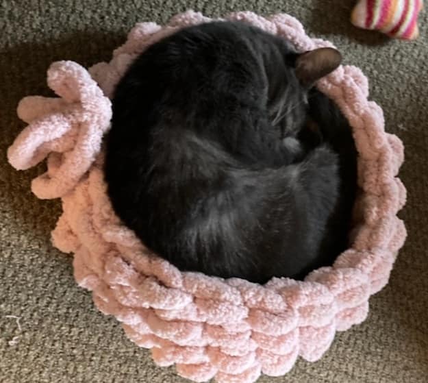 Custom Cozy Cat Beds make sure you look through all the photos