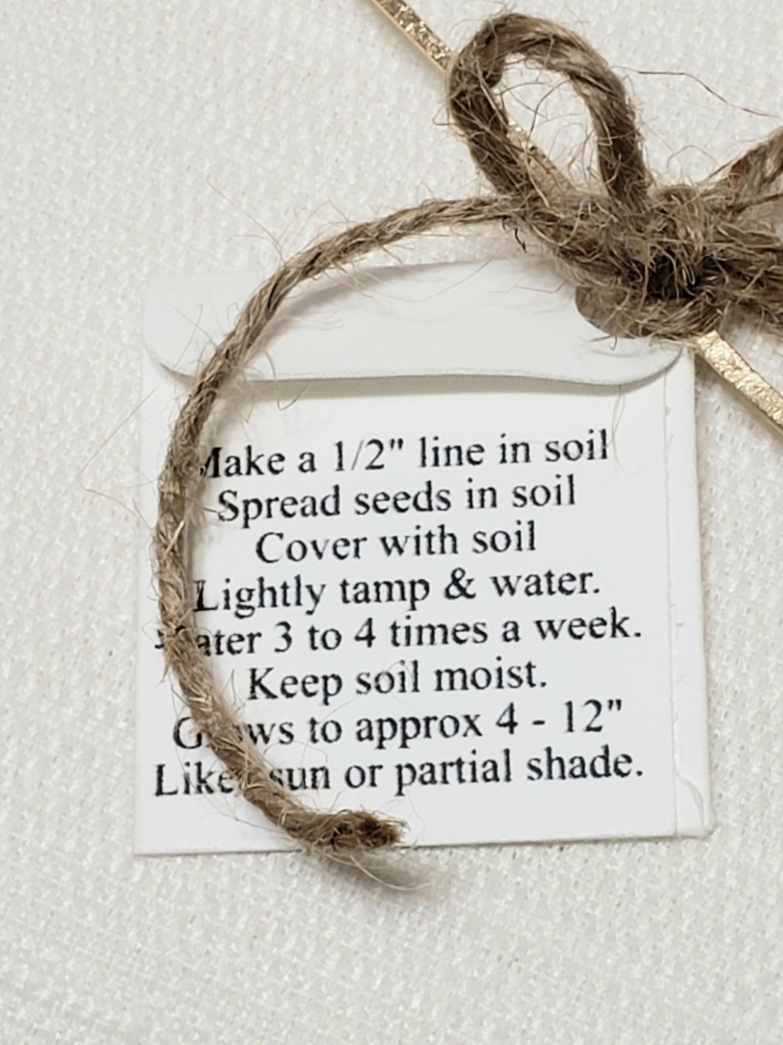 The back of the envelope shows the directions for planting the seeds.