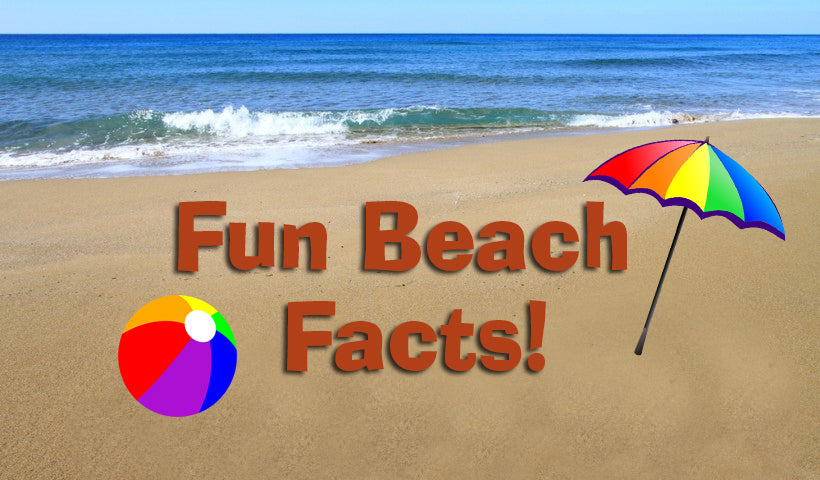 FUN BEACH FACTS!!!