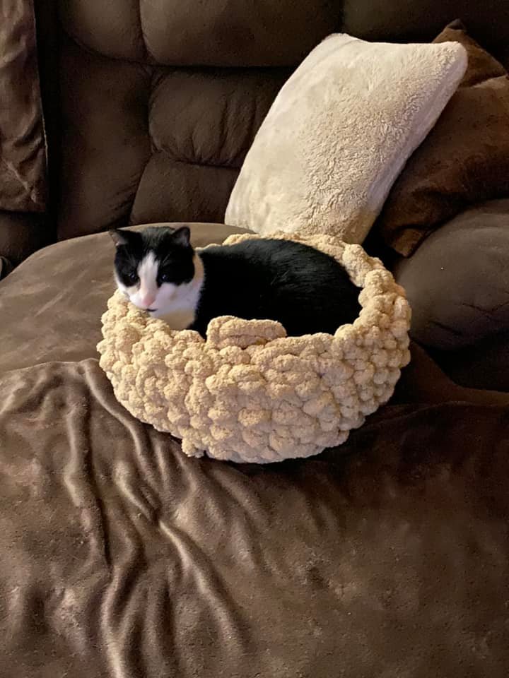 Custom Cozy Cat Beds make sure you look through all the photos