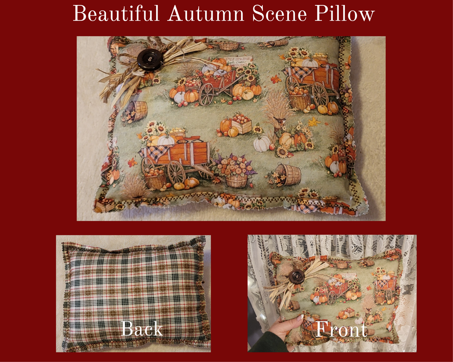 Beautiful Autumn Scene Pillow