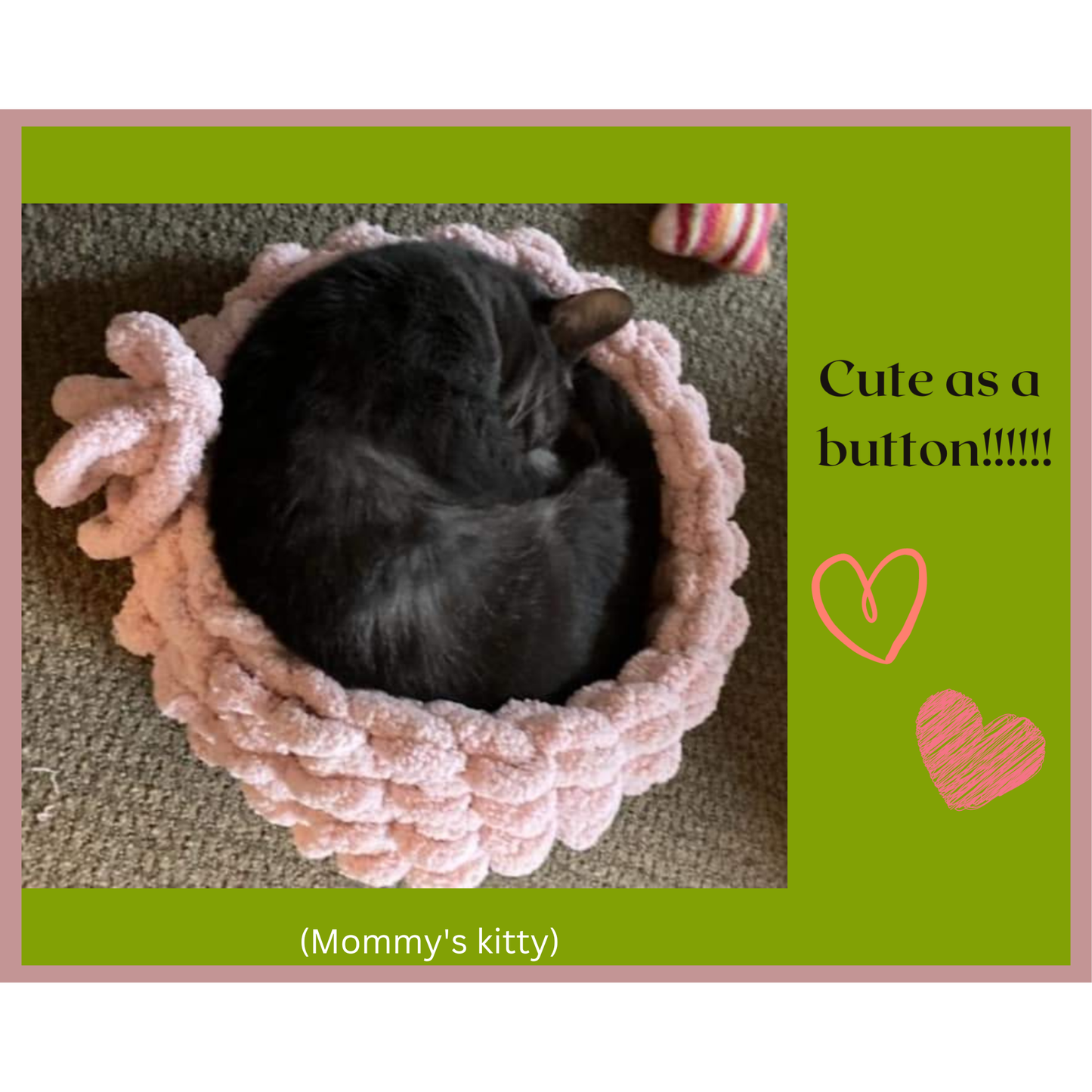 Cozy Cat Beds make sure you look through all the photos